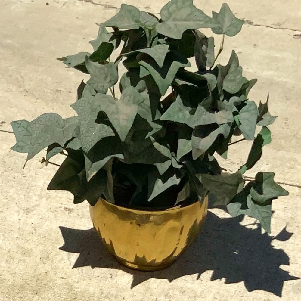 Flower pot ( Fake Flowers)